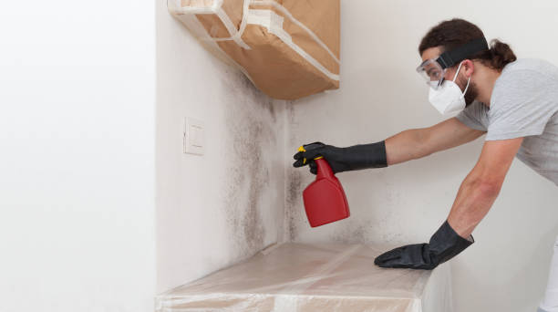 Professional Crawl Space Mold Remediation technician working in Mathews, VA