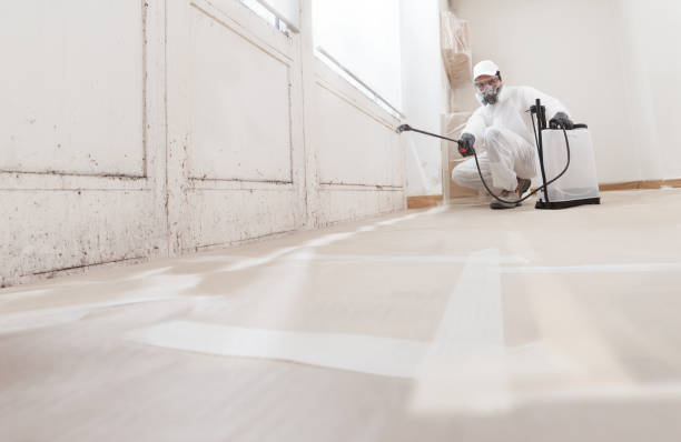 24/7 Emergency Crawl Space Mold Remediation experts in Mathews, VA